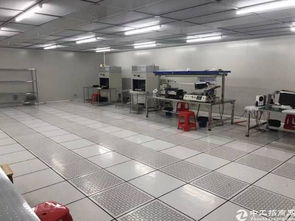 橋頭原房東塑膠電子廠 3000方空間，個人護(hù)理電器產(chǎn)業(yè)新機(jī)遇
